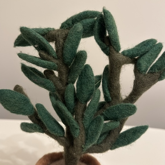 West elm felt succulent - Picture 2 of 5